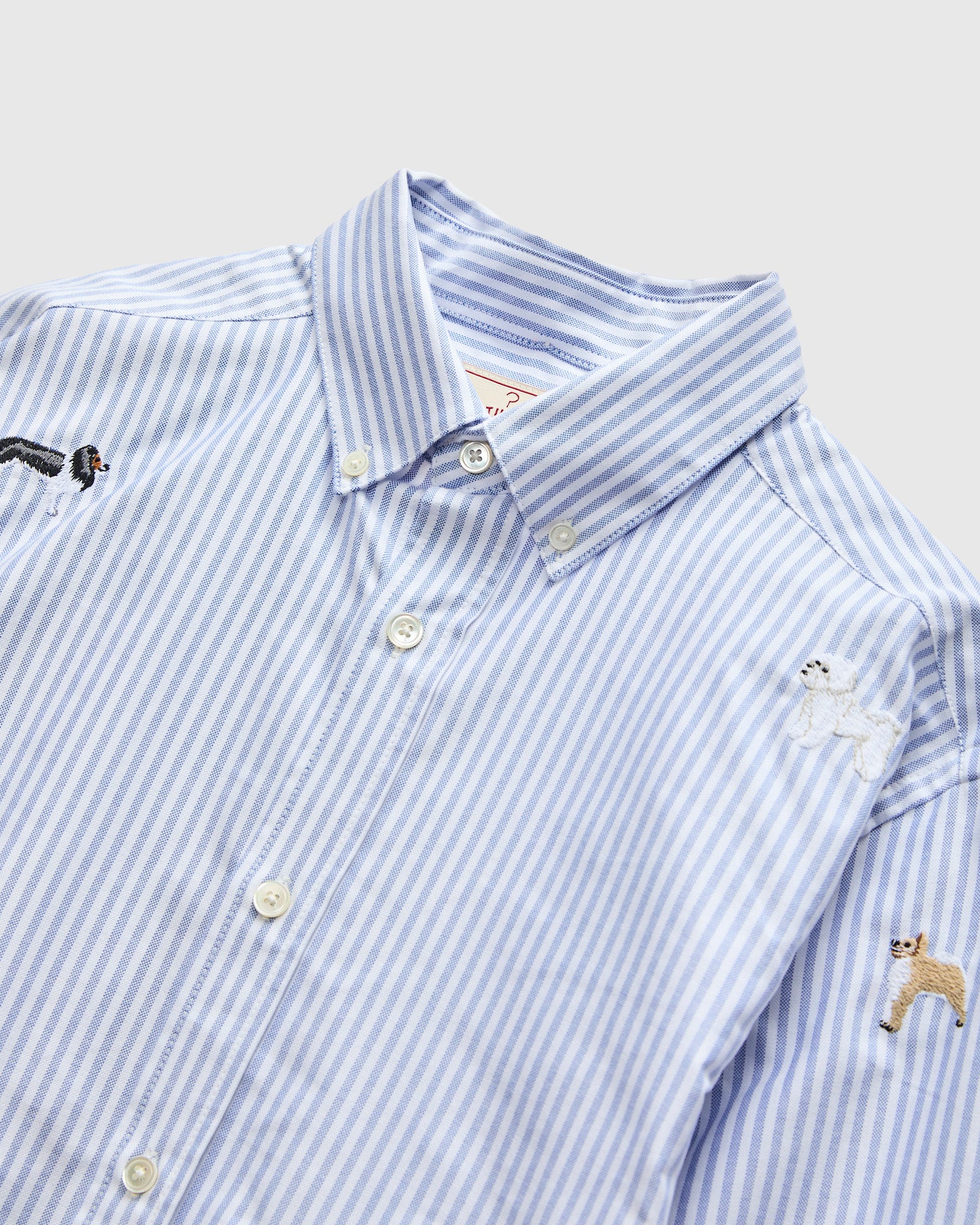 Dogs Oxford Shirt in Blue Stripe - Image 4