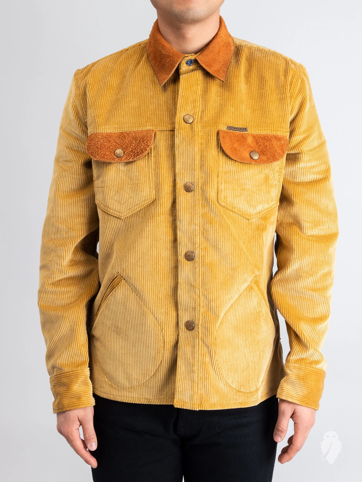 "Eagle Rising" Corduroy Jacket in California Gold - Image 2