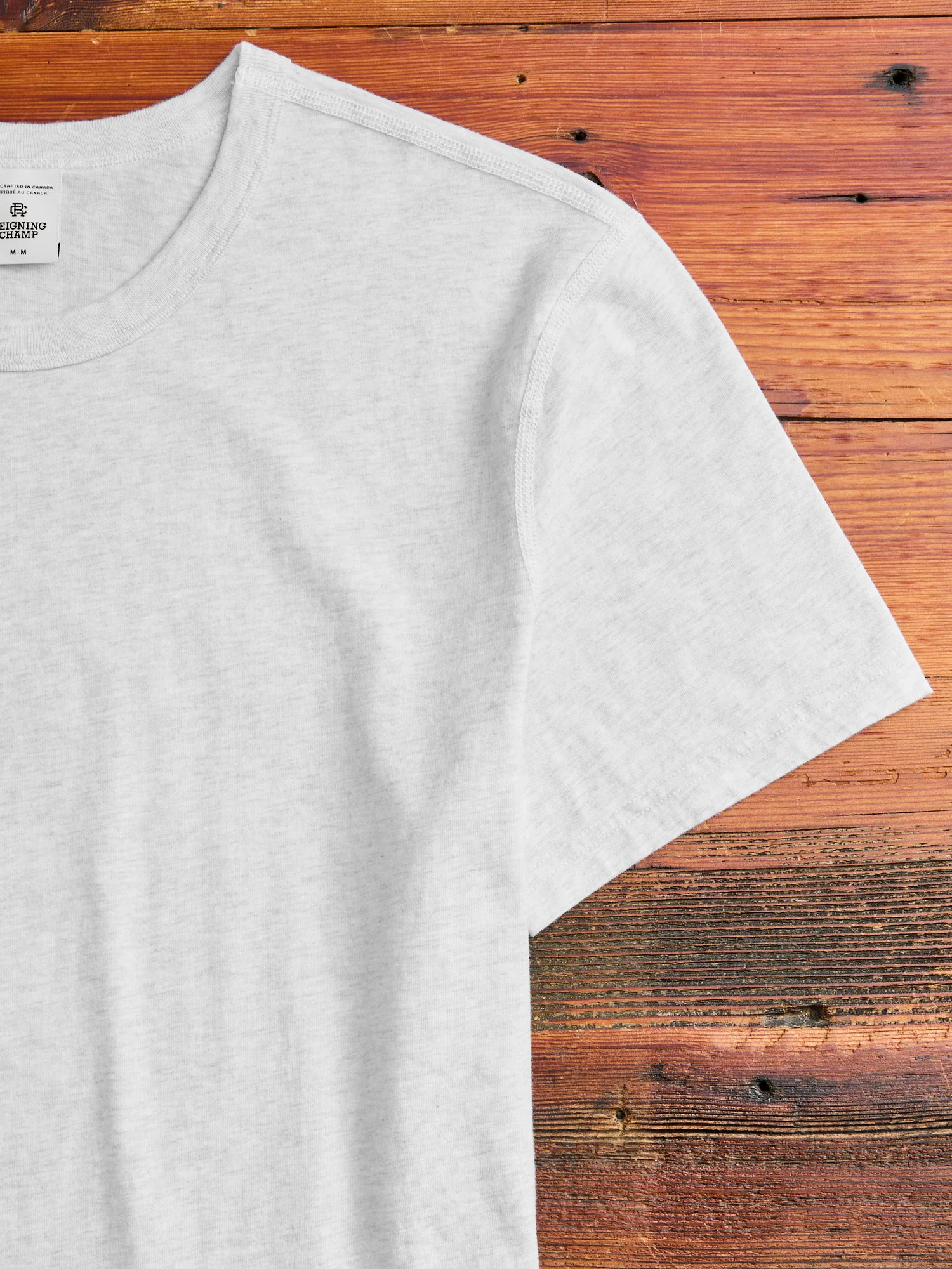 Ringspun Jersey T-Shirt in Heather Ash - Image 4