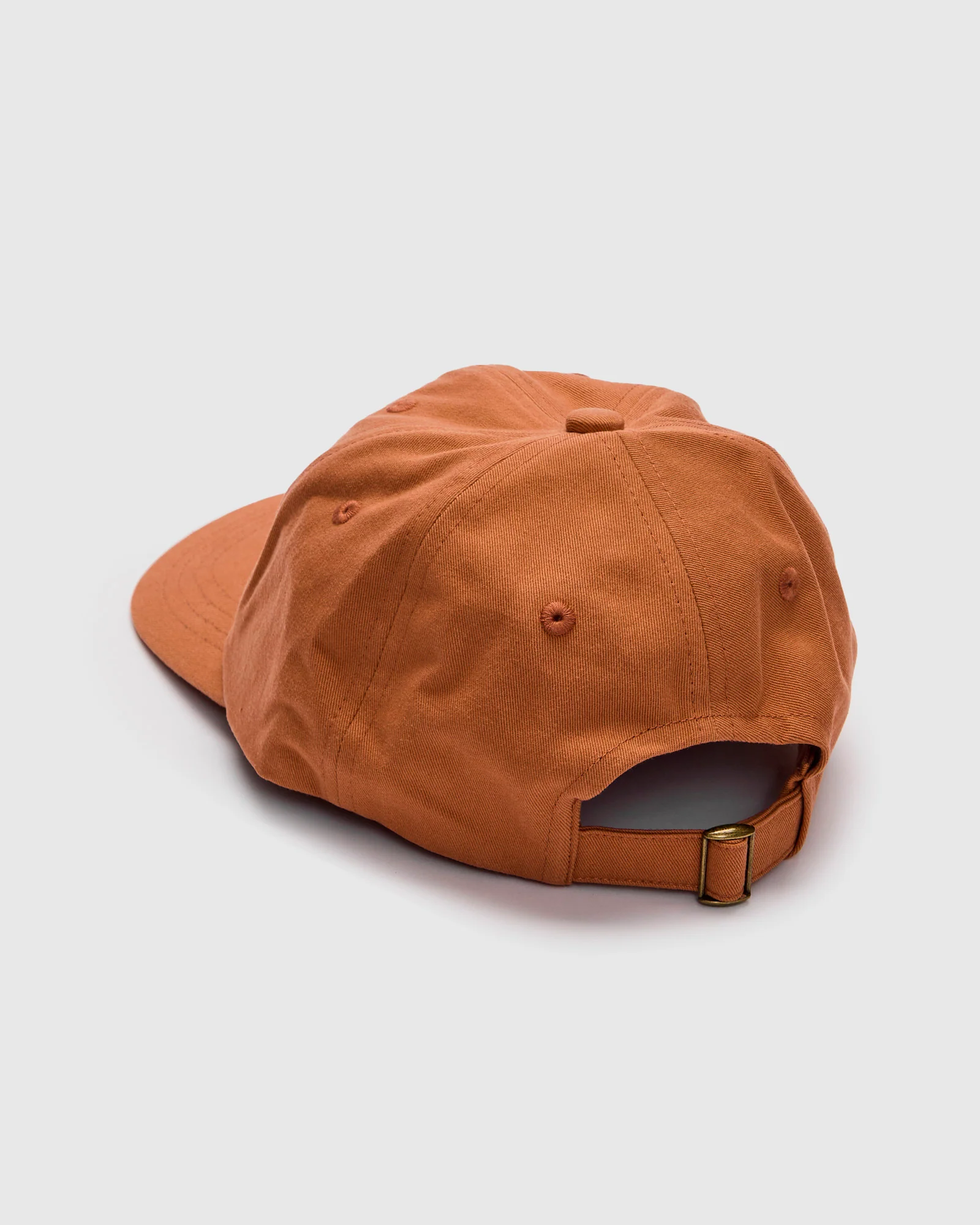 Swan Logo Cotton Twill Cap in Pumpkin - Image 3