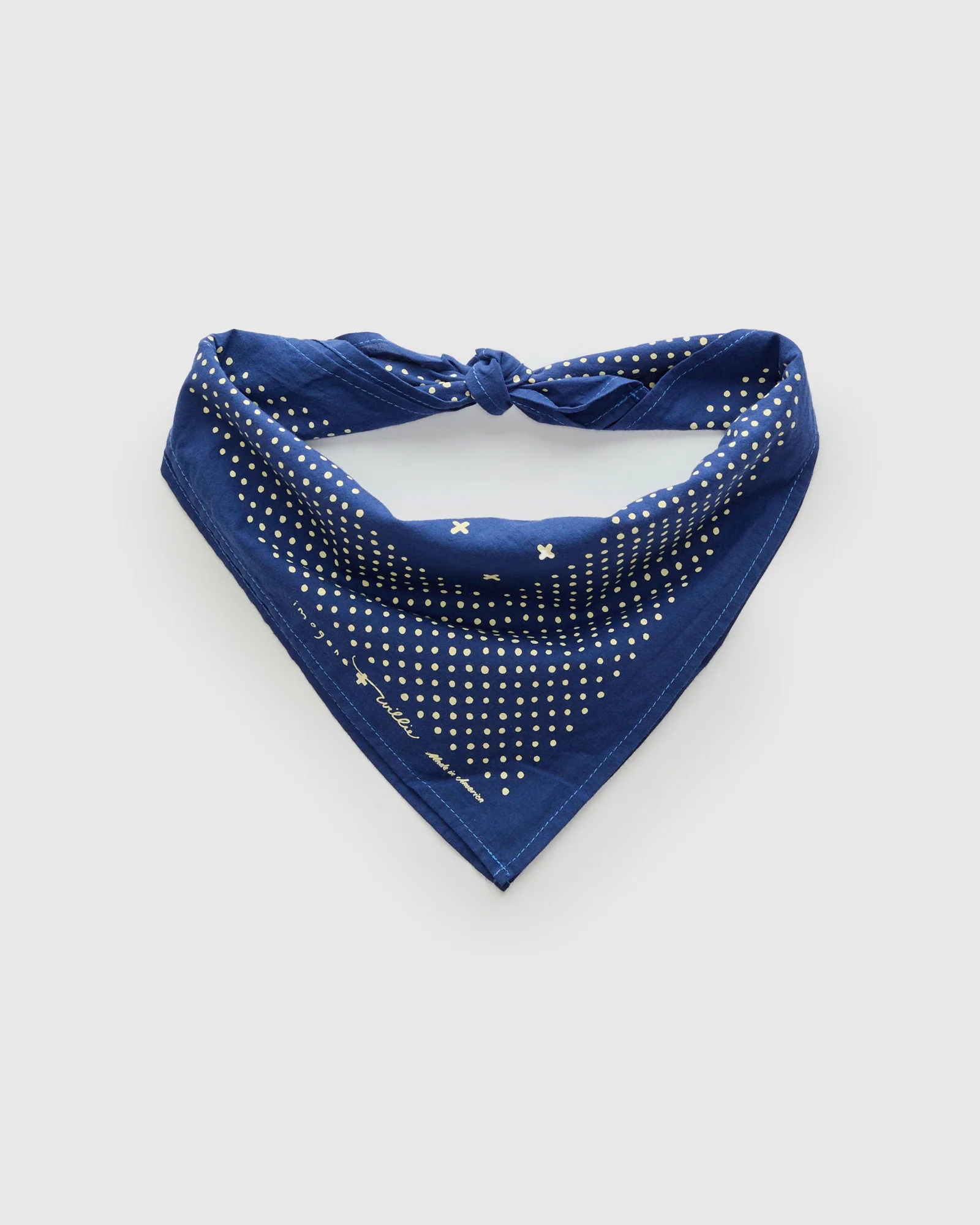 Vintage Bandana in Blue - Image 2